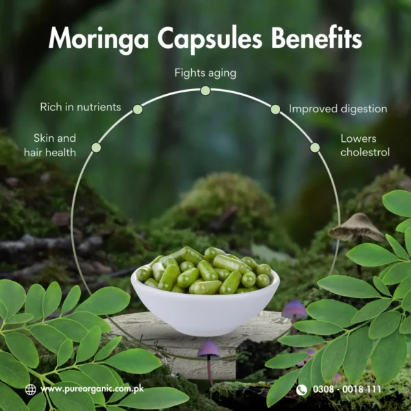 benefits of moringa Capsule